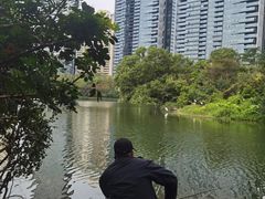 -燕晗山郊野公园