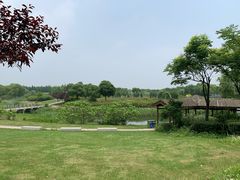 -尚贤河湿地