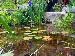 -深圳国际园林花卉博览园