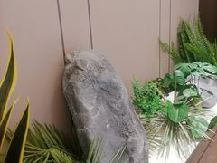 -蜀厨小匠·民间川菜(犀浦店)