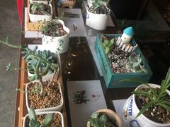 -山有花啡餐厅(常营总店)