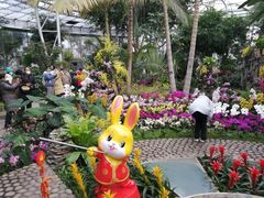 -北京植物园-展览温室