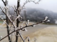 -鳌山滑雪度假区