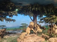 -国家自然博物馆