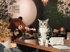 -咖法森林·咖啡  酒吧(天河店)