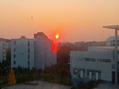 -南京理工大学紫金学院