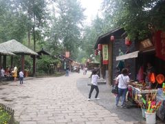 -合肥滨湖国家森林公园