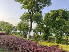 -蠡湖大桥公园
