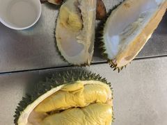 -都念榴莲·城市榴莲