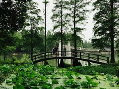 -东湖落雁景区