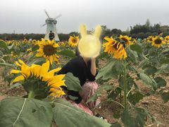 -武汉紫薇都市田园