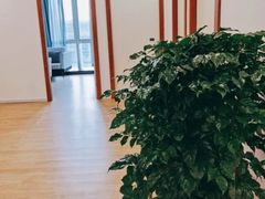 -桥恩心理咨询国际连锁(南山总店)