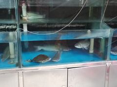 -老诚一锅羊蝎子(垡头店)