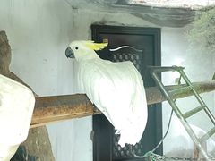 -青藏高原野生动物园