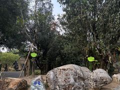 -云南勐巴娜西珍奇园