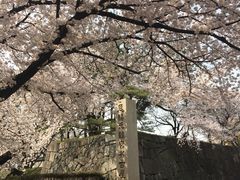 -名古屋城