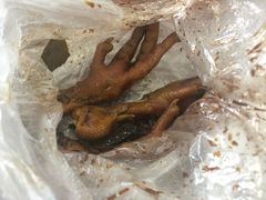 -鸡脚旮旯平江路店