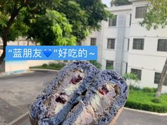 -七叔是岛民(花基新村店)