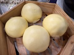 -金龙寨(龙城路店)