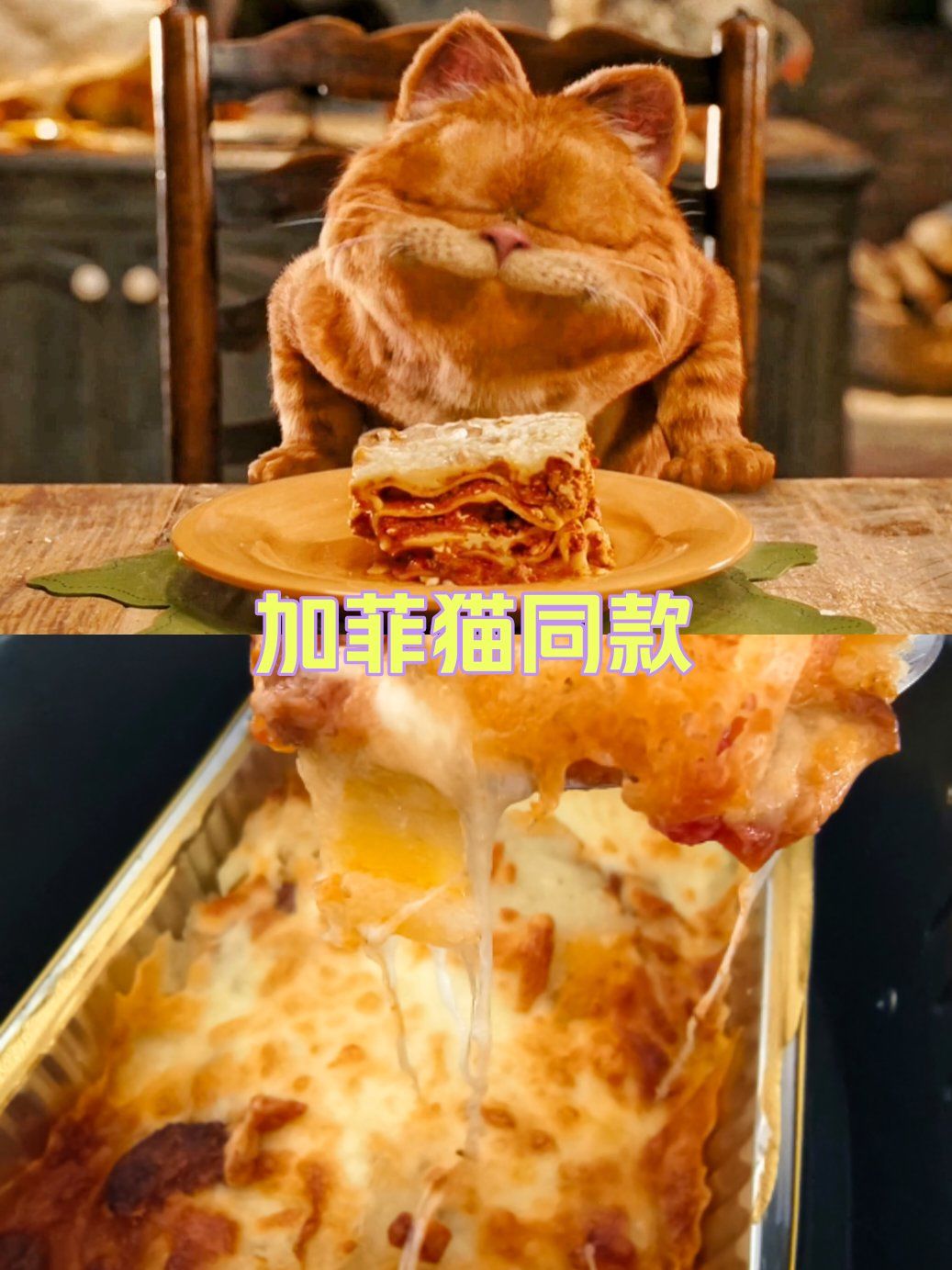 加菲猫最爱的千层面