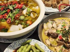 特色捞汁毛豆-阿甘龙虾·重庆麻麻鱼(中豪店)