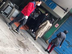 -小狗面馆(复兴店)
