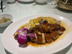 -老广酒楼(樱花店)