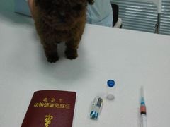 -纳吉亚猫专科动物医院博雅分院