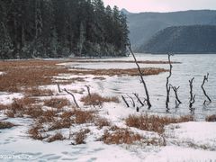 -普达措国家公园