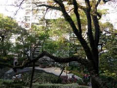 -香港大学