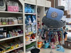 -米苏动物医院·犬猫专科·骨科外科内窥镜