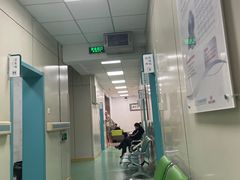 -北京观赏动物医院·24小时大型综合·猫专科·异宠专科