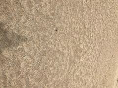 -玫瑰海岸文化旅游度假区