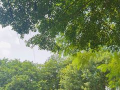 -广州长隆飞鸟乐园