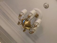 -广州富力丽思卡尔顿酒店