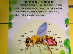 -上海昆虫博物馆