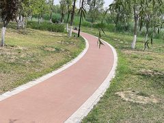 -水西公园