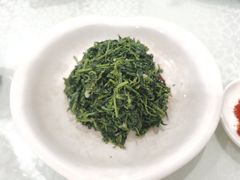 养生枸杞苗-老毛手抓·盐池滩羊非遗手抓(宁夏总店)