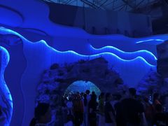 -海合安成都极地海洋公园