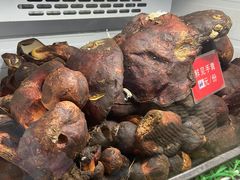 -太婆天府山珍酒楼(亚运村店)