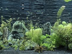 -上海海洋水族馆