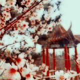 只要稍有留心，就会发现美丽无处不在