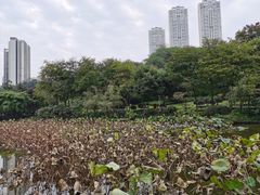 -龙头寺公园