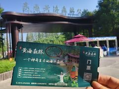 -黄海国家森林公园