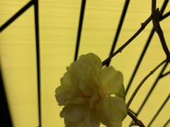 -小厨娘淮扬菜(六合欢乐港店)