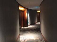 -新加坡瑞士史丹福酒店