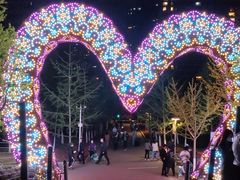 -长白岛森林公园