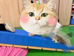 -全优加早教托育园(广百新一城店)