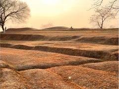 -盘龙城国家考古遗址公园