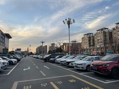 -罗卜李包子羊肉汤